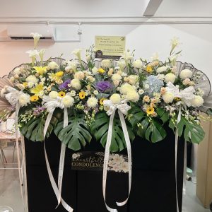 Peaceful Memories Elite Tribute